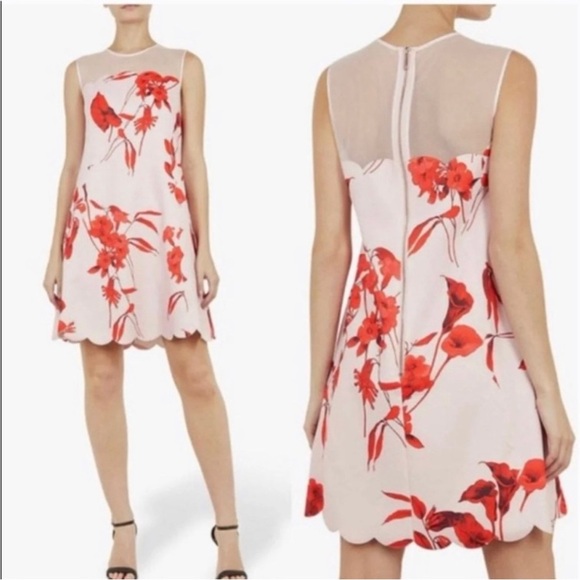 Ted Baker Jaazmin Fantasia Scallop Mini Dress Mesh Red Pink Floral Size 6 - Picture 4 of 14